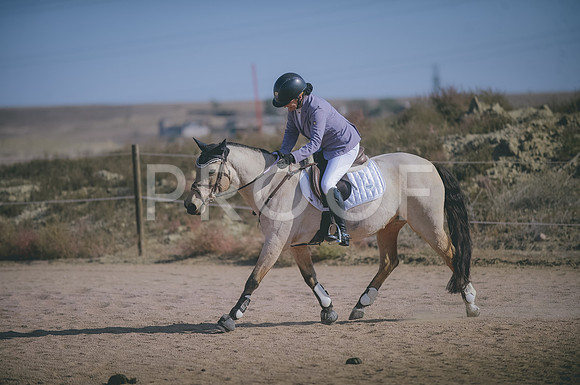 JJS_3557