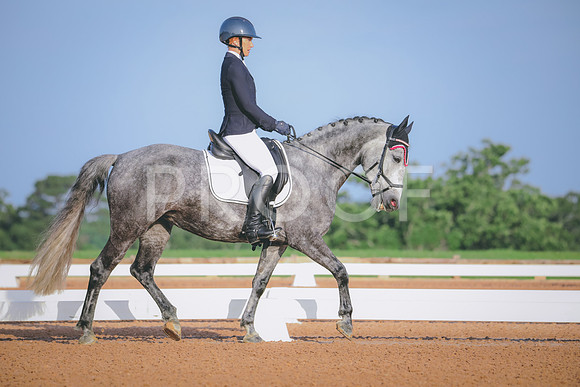 RWP_3636