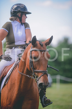 JJS_1465
