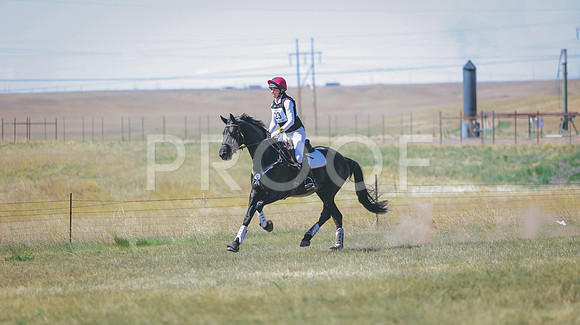 0N0A0303