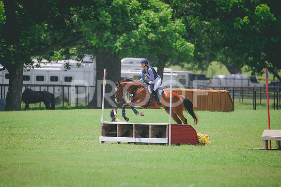 RWP_3979