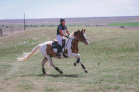 CDH_8878