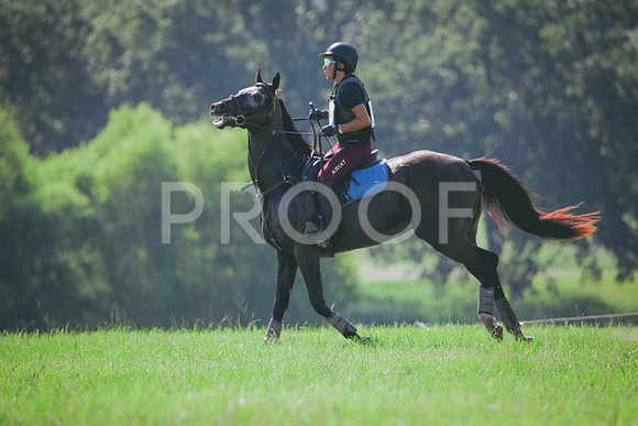 RWP_6444