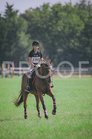 RWP_6286