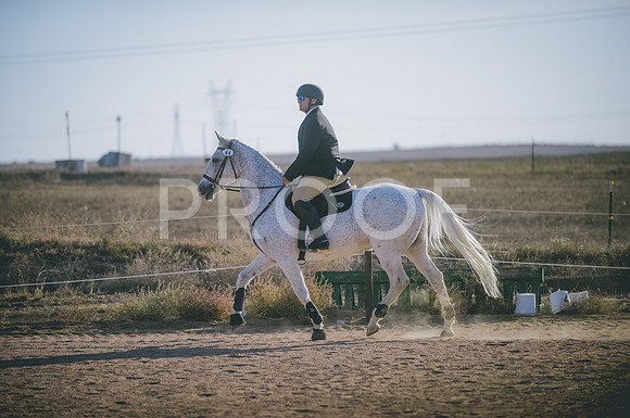 JJS_8424