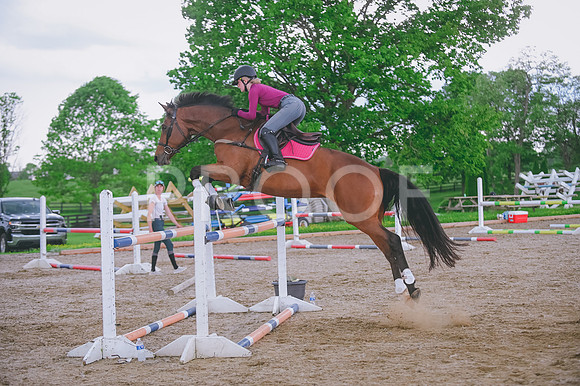 DSC_1993