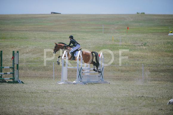 JJS_7537