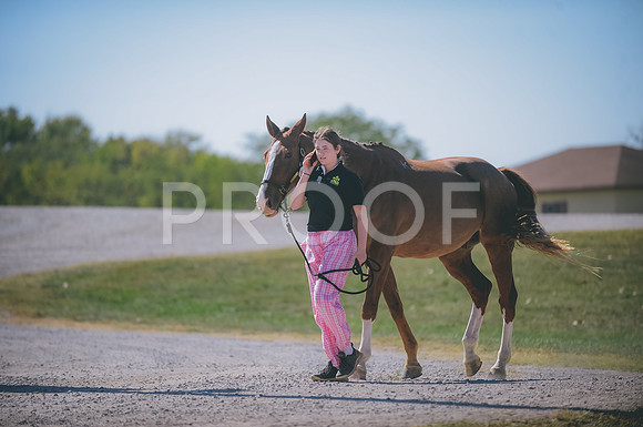 JJS_0557