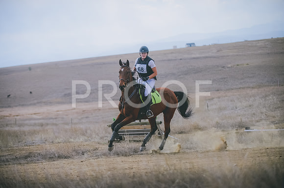 JJS_1349A
