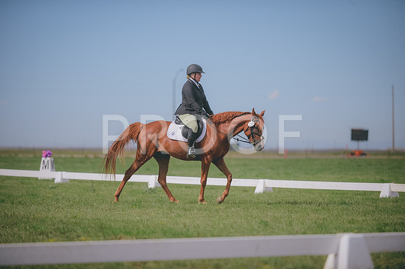 JJS_0602