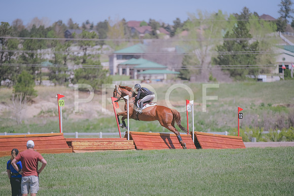 _DSC3453