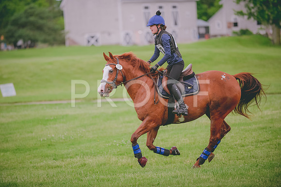 JJS_0687