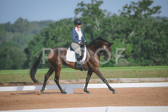 RWP_4398