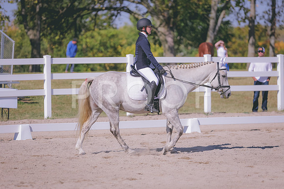 HLJ_2903