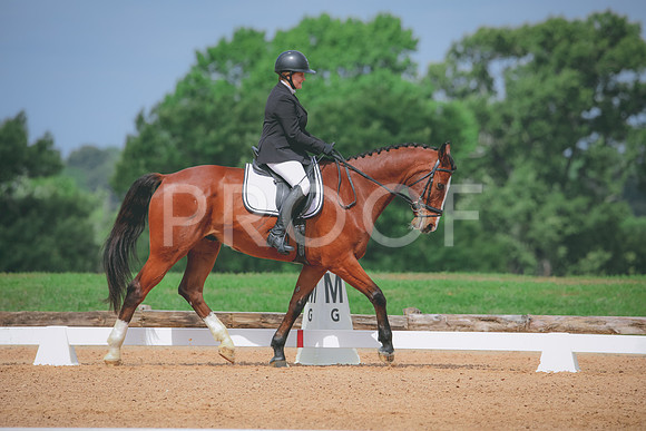 RWP_4148