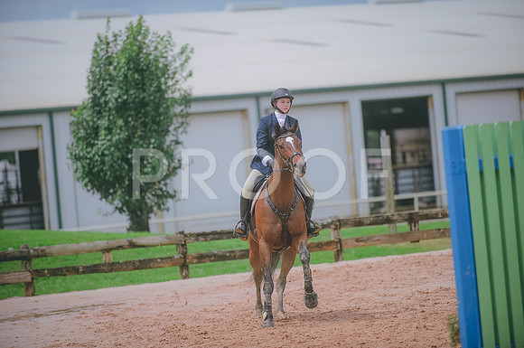 000_3247 copy