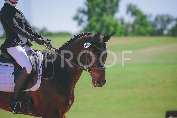 RWP_0286
