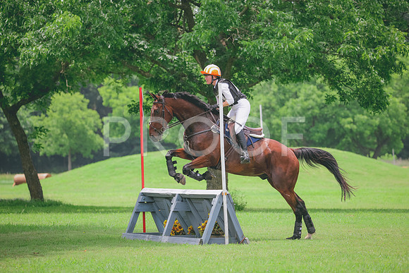 RWP_2335