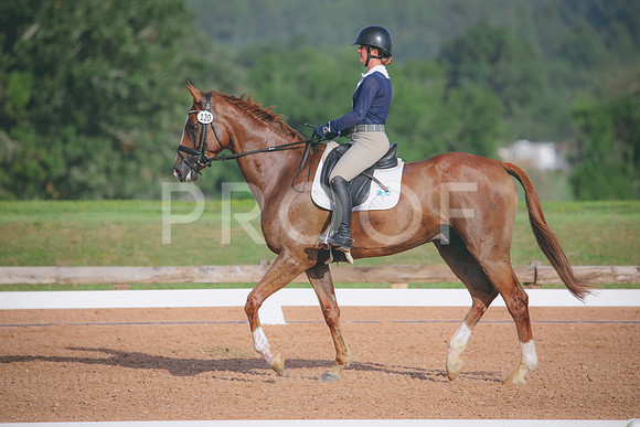 RWP_4417