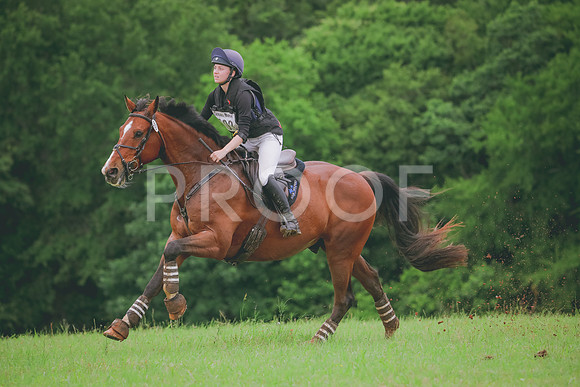 RWP_6137