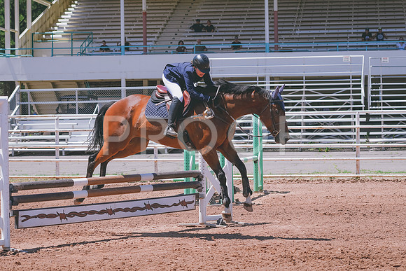 DSC_8061A