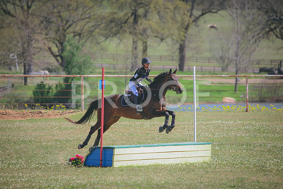 RWP_1217