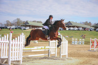 3T5A1982