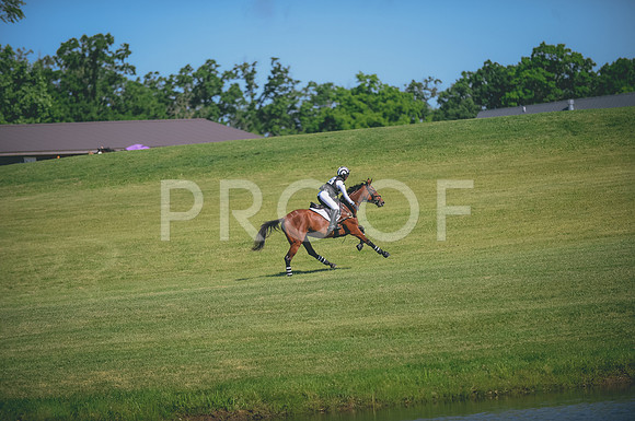 JJS_2828