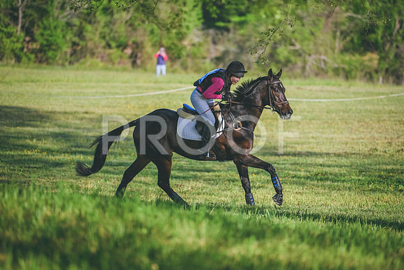 MEL_5479