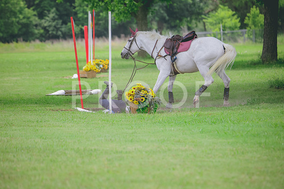 RWP_2809