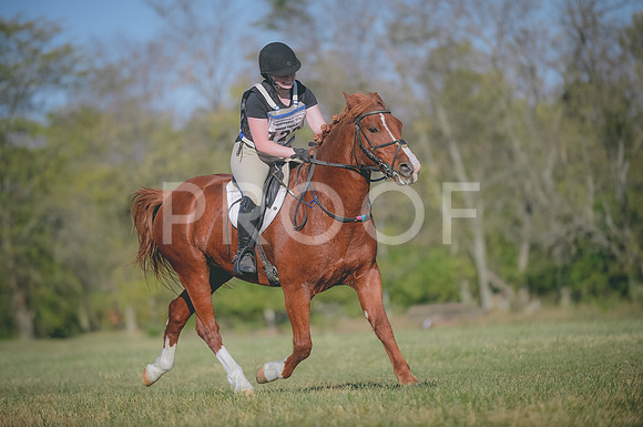 JJS_0595