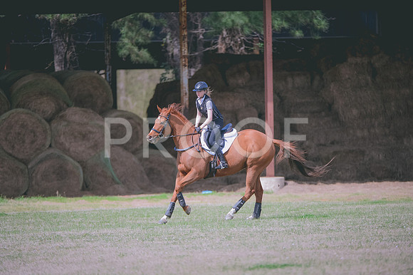 JJS_6714