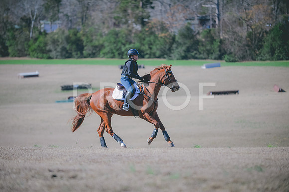 JJS_0286