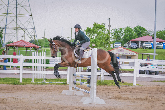 DSC_0181