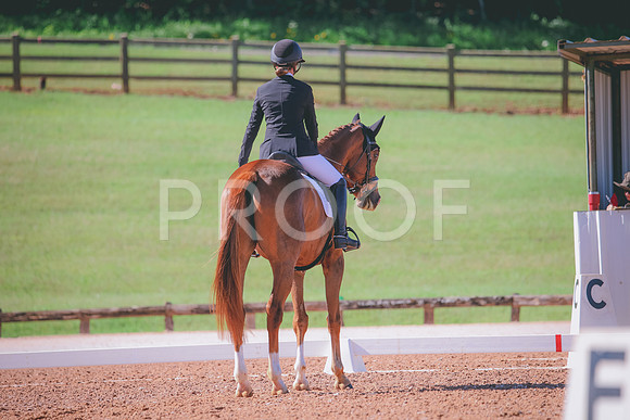 RWP_9677