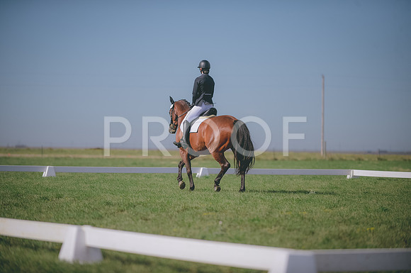 JJS_8420