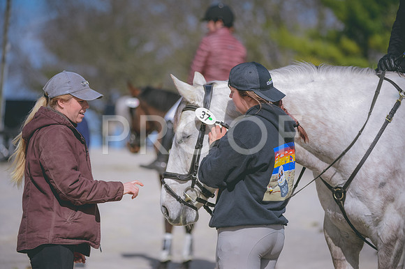 JJS_0216