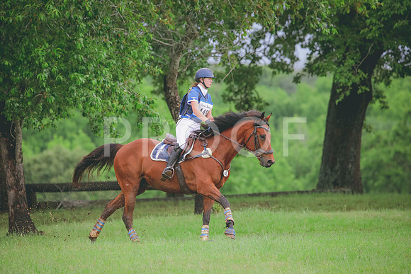 RWP_5628
