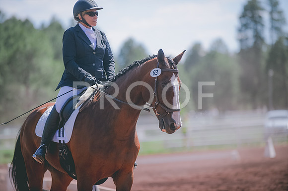 JJS_2014