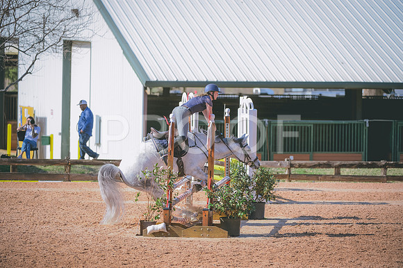 JJS_7841