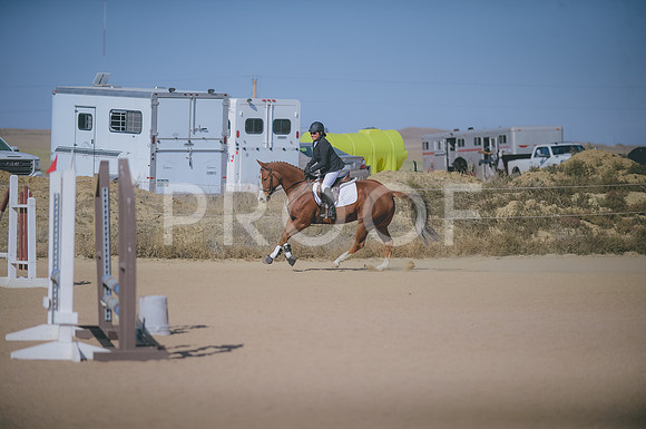 JJS_4932
