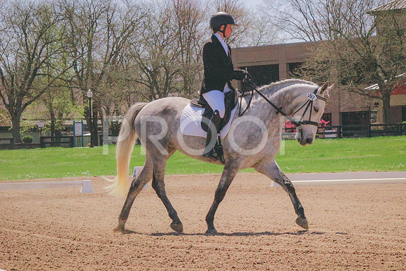 IMG_6202