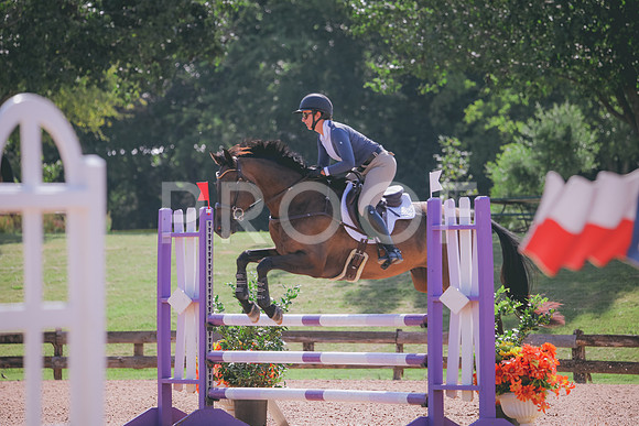 RWP_4816