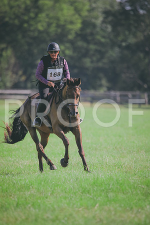RWP_6331