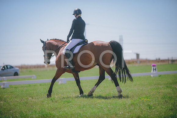JJS_4263