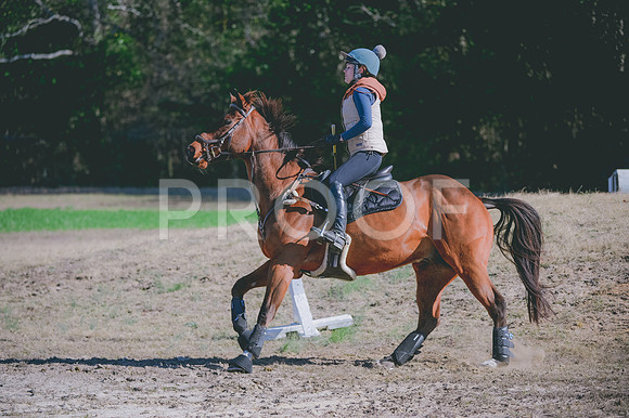 JJS_0678