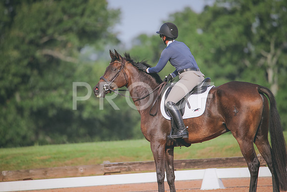 RWP_4413