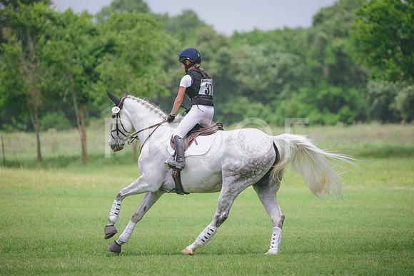 RWP_2708