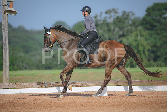 RWP_4519