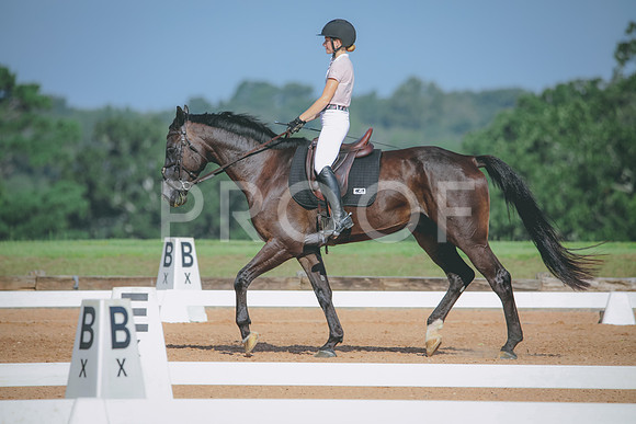 RWP_4655